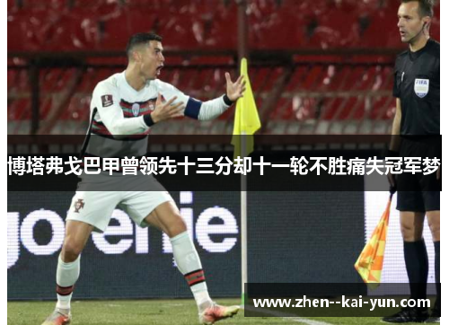 博塔弗戈巴甲曾领先十三分却十一轮不胜痛失冠军梦